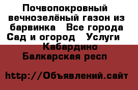 Почвопокровный, вечнозелёный газон из барвинка - Все города Сад и огород » Услуги   . Кабардино-Балкарская респ.